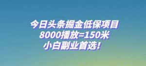 今日头条掘金低保项目，8000播放=150米，小白副业首选【揭秘】-优优云创网