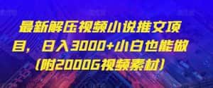 最新解压视频小说推文项目，日入3000+小白也能做（附2000G视频素材）【揭秘】-优优云创