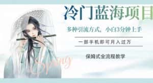 冷门蓝海项目，操作简单，小白3分钟上手，多种引流方式，保姆式全流程教学【揭秘】-优优云创网