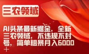 AI头条最新掘金，全新三农领域，不违规不封号，简单粗暴月入6000＋【揭秘】-优优云创