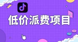 抖音低价派单项目，0门槛，日入1000+很轻松，小白可操作【揭秘】-优优云创网