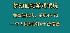 梦幻仙域游戏试玩,免微信玩法,单机40-70,一个人同时操作十台设备【揭秘】-优优云创网