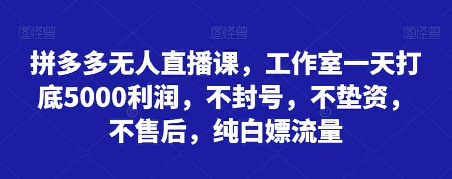 拼多多无人直播课，工作室一天打底5000利润，不封号，不垫资，不售后，纯白嫖流量-优优云创网
