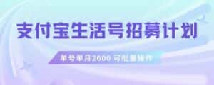 支付宝生活号作者招募计划，单号单月2600，可批量去做，工作室一人一个月轻松1w+【揭秘】-优优云创网