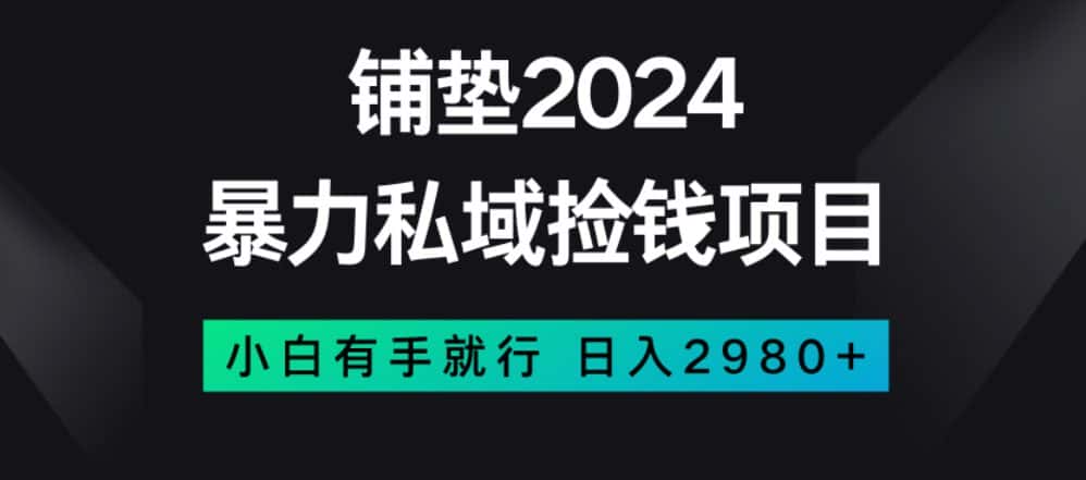 暴力私域捡钱项目，小白无脑操作，日入2980【揭秘】-优优云创网