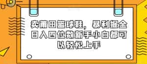 卖莆田篮球鞋，暴利掘金日入四位数新手小白都可以轻松上手【揭秘】-优优云创网