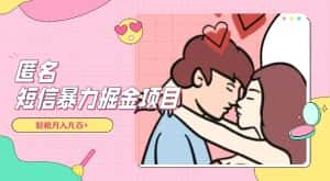 全网首发，揭秘超冷门匿名短信项目，通过信息差日入几百+【揭秘】-优优云创网