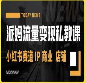 派妈流量变现私教课，小红书赛道IP  商业  店铺-优优云创网