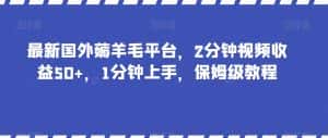 最新国外薅羊毛平台，2分钟视频收益50+，1分钟上手，保姆级教程【揭秘】-优优云创网