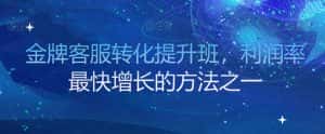 金牌客服转化提升班，利润率最快增长的方法之一-优优云创网