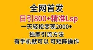 全网首发！日引800+精准老色批，一天变现2000+，独家引流方法，可矩阵操作【揭秘】-优优云创网