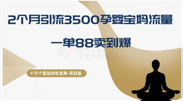 十万个富翁修炼宝典之13.2个月引流3500孕婴宝妈流量，一单88卖到爆-优优云创网