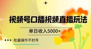视频号囗播视频直播玩法,单日收入5000+,批量操作不封号【揭秘】-优优云创网