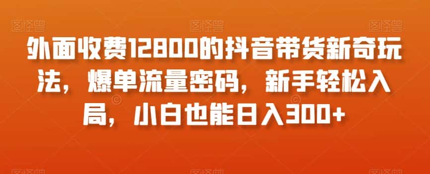 外面收费12800的抖音带货新奇玩法，爆单流量密码，新手轻松入局，小白也能日入300+【揭秘】-优优云创网