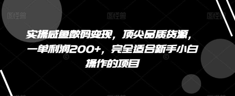 实操咸鱼数码变现，顶尖品质货源，一单利润200+，完全适合新手小白操作的项目【揭秘】-优优云创网