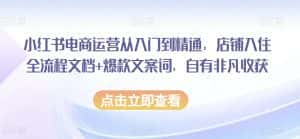 小红书电商运营从入门到精通，店铺入住全流程文档+爆款文案词，自有非凡收获-优优云创网