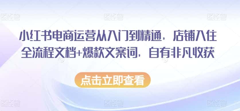小红书电商运营从入门到精通，店铺入住全流程文档+爆款文案词，自有非凡收获-优优云创网