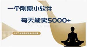 十万个富翁修炼宝典之17.一个刚需小软件，每天能卖5000+-优优云创网
