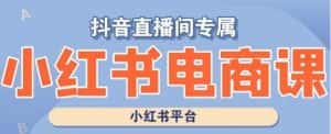 小红书电商高级运营课程，实操教学+案例分析-优优云创网