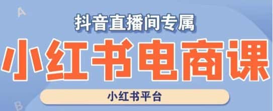 小红书电商高级运营课程，实操教学+案例分析-优优云创网