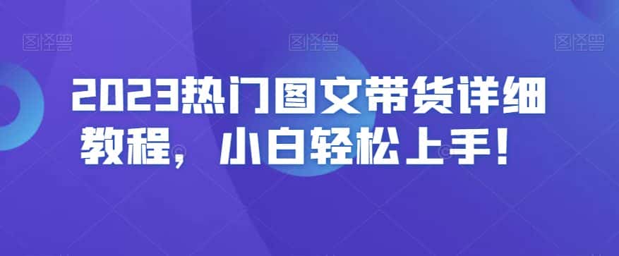2023热门图文带货详细教程，小白轻松上手！-优优云创网