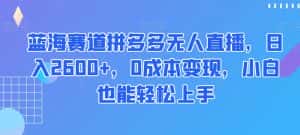 蓝海赛道拼多多无人直播，日入2600+，0成本变现，小白也能轻松上手【揭秘】-优优云创网
