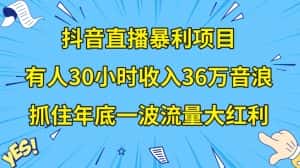 抖音直播暴利项目，有人30小时收入36万音浪，公司宣传片年会视频制作，抓住年底一波流量大红利【揭秘】-优优云创网