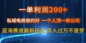 一单利润200私域电商做的好，一个人顶一家公司蓝海赛道最新玩法【揭秘】-优优云创网