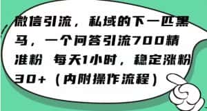 怎么搞精准创业粉？微信新赛道，每天一小时，利用Ai一个问答日引100精准粉-优优云创网
