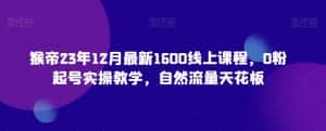 猴帝23年12月最新1600线上课程,0粉起号实操教学,自然流量天花板-副业吧