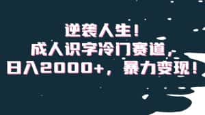 逆袭人生！成人识字冷门赛道，日入2000+，暴力变现！【揭秘】-优优云创网