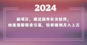 2024新项目,通过国外社交软件,快速涨粉精准引流,轻松做到月入上万【揭秘】-副业吧
