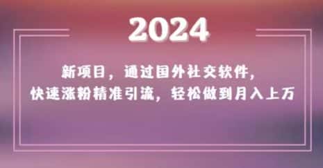 2024新项目，通过国外社交软件，快速涨粉精准引流，轻松做到月入上万【揭秘】-优优云创网