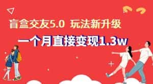 盲盒交友5.0,玩法全新升级,一个月直接变现1.3W,新手小白轻松上手【揭秘】-优优云创网