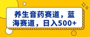 养生音药赛道，蓝海赛道，日入500+【揭秘】-优优云创网