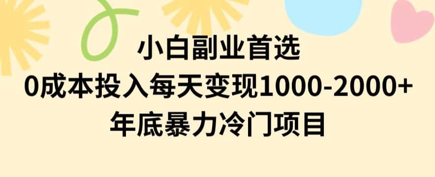 小白副业首选，0成本投入，每天变现1000-2000年底暴力冷门项目【揭秘】-优优云创网