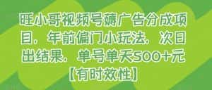 旺小哥视频号薅广告分成项目，年前偏门小玩法，次日出结果，单号单天500+元【有时效性】-优优云创网