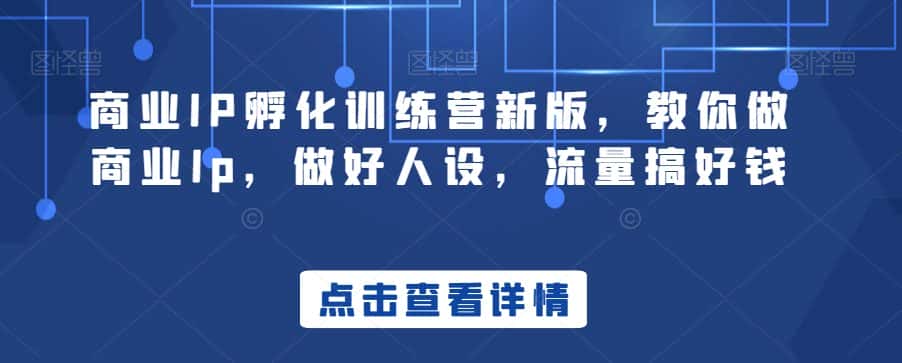 商业IP孵化训练营新版，教你做商业Ip，做好人设，流量搞好钱-优优云创网