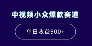 中视频小众爆款赛道，7天涨粉5万+，小白也能无脑操作，轻松月入上万【揭秘】-优优云创