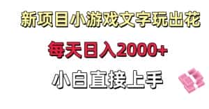 新项目小游戏文字玩出花日入2000+，每天只需一小时，小白直接上手-优优云创网