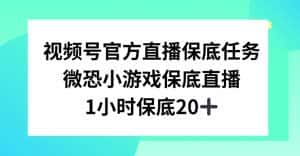 视频号直播任务，微恐小游戏，1小时20+-优优云创网