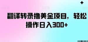 翻译转录撸美金项目，轻松操作日入300+-优优云创网
