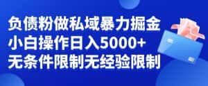负债粉私域暴力掘金，小白操作入5000，无经验限制，无条件限制-副业吧