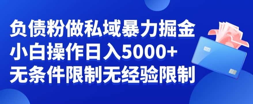 负债粉私域暴力掘金，小白操作入5000，无经验限制，无条件限制-副业吧
