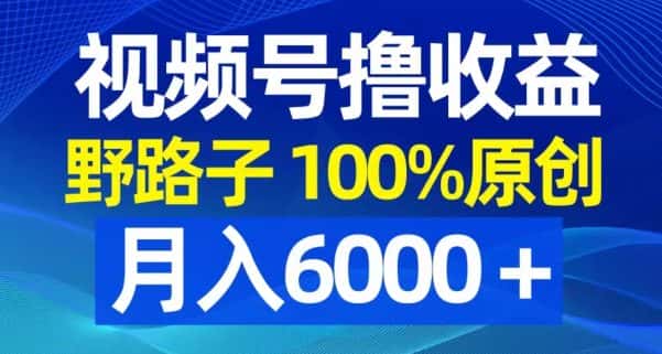 视频号野路子撸收益，100%原创，条条爆款，月入6000＋-优优云创网