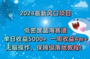 2024最新风口项目，低密度蓝海赛道，单日收益5000+，一周收益4w+！-优优云创网