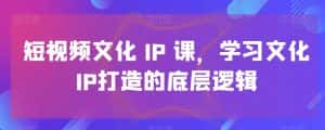 短视频文化IP课，学习文化IP打造的底层逻辑-优优云创网