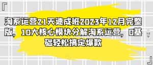 淘系运营21天速成班2023年12月完整版，10大核心模块分解淘系运营，0基础轻松搞定爆款-优优云创网