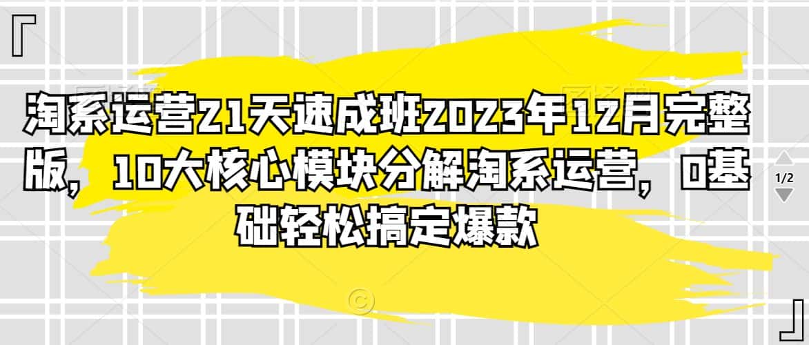 淘系运营21天速成班2023年12月完整版,10大核心模块分解淘系运营,0基础轻松搞定爆款-优优云创网