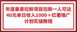 年度最豪拉新项目拉新一人可达40元单日收入1000＋红薯推广计划实操教程-优优云创网